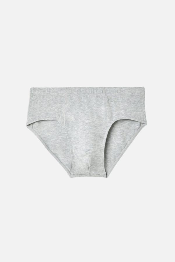 Brief